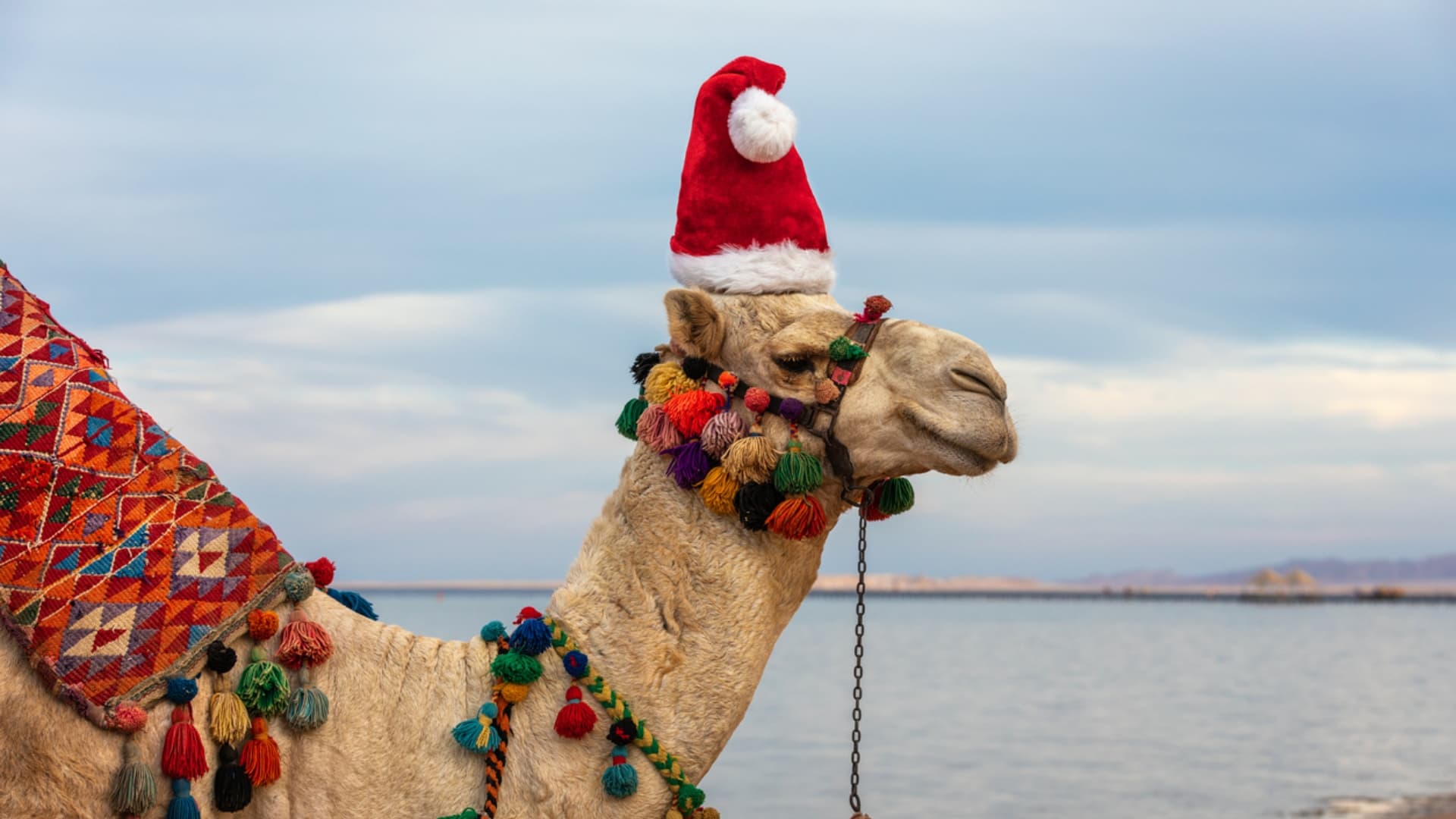 Sharm El Sheikh & Hurghada for Christmas Sharm El Sheikh & Hurghada for Christmas